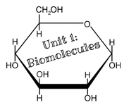 Unit 1 Biomolecules